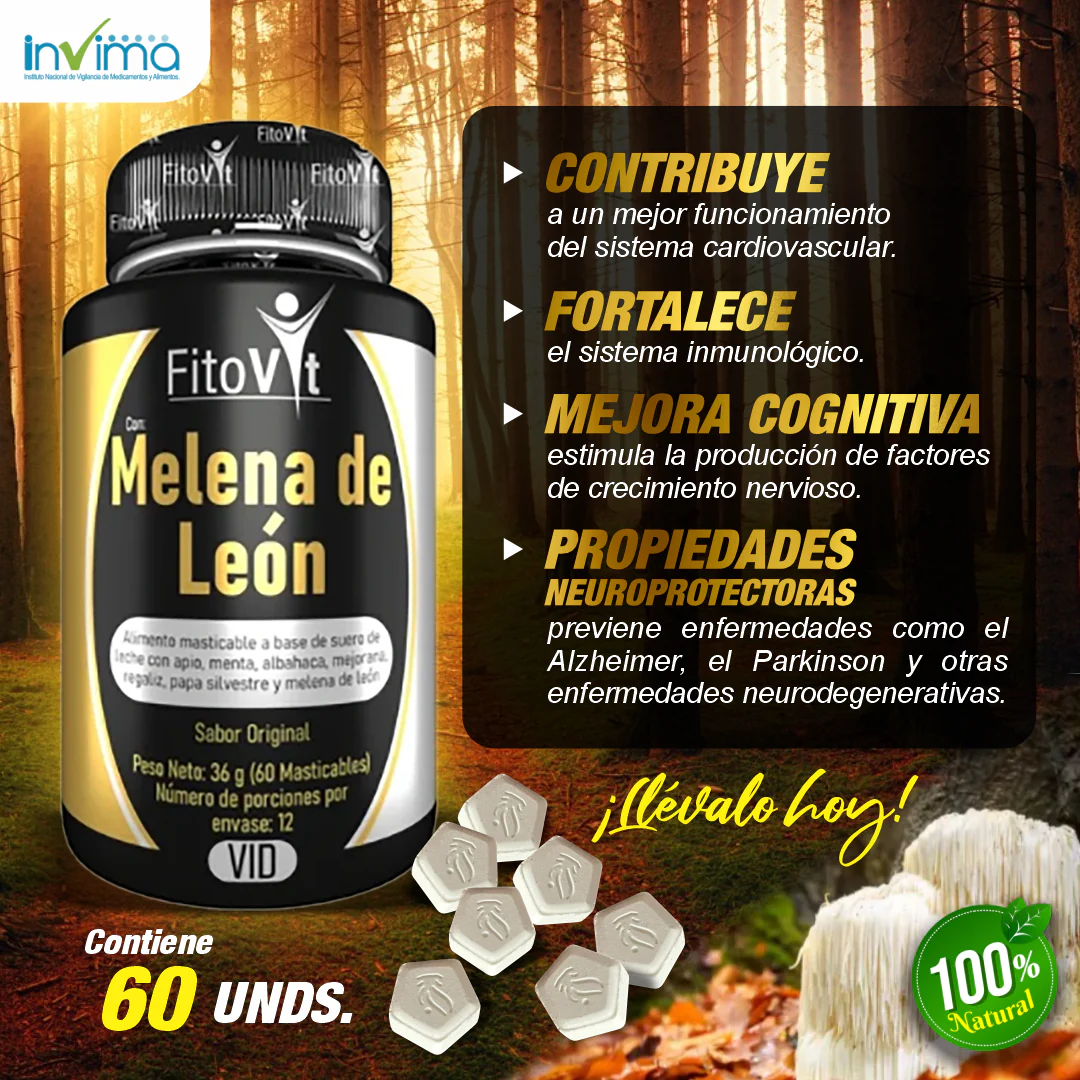 Melena de León para tu mente: Energía, Enfoque y Memoria