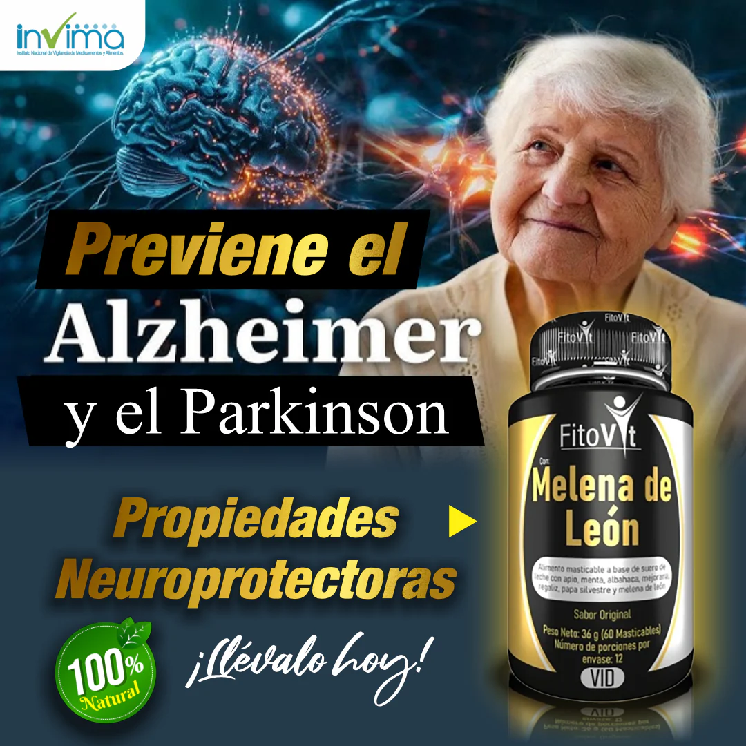 Melena de León para tu mente: Energía, Enfoque y Memoria