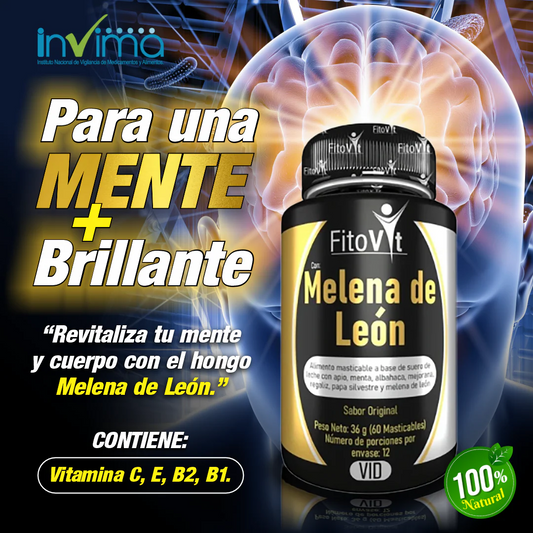 Melena de León para tu mente: Energía, Enfoque y Memoria